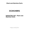 3134146R1 - RADIATOR CAP
