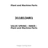 3118134R1 - VALVE SPRING - INNER