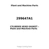 299647A1 - CYLINDER HEAD GASKET
