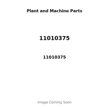 11010375 - PISTON, PIN & CLIPS - STD