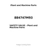 884747M93 - SAFETY VALVE