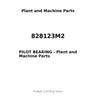 828123M2 - PILOT BEARING