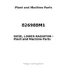 826988M1 - HOSE, LOWER RADIATOR