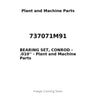 737071M91 - BEARING SET, CONROD - .010''