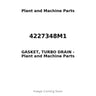 4227348M1 - GASKET, TURBO DRAIN
