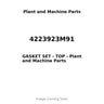 4223923M91 - GASKET SET - TOP