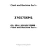 3765756M1 - OIL SEAL 45X65X25MM