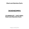3640482M91 - CYLINDER KIT - CAST IRON