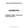 3638845M1 - GASKET, HEAD
