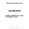 1810862M91 - SPINDLE REPAIR KIT