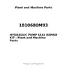 1810680M93 - HYDRAULIC PUMP SEAL REPAIR KIT