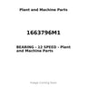 1663796M1 - BEARING - 12 SPEED