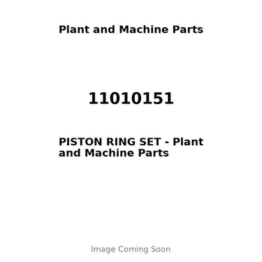 11010151 - PISTON RING SET