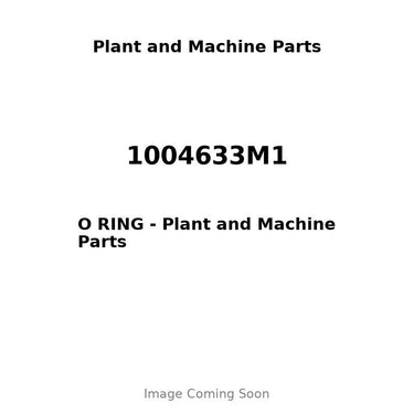 1004633M1 - O RING