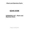 6245.EOK - OVERHAUL KIT