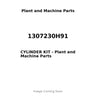 1307230H91 - CYLINDER KIT