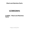 1238526H1 - O-RING