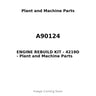 A90124 - ENGINE REBUILD KIT - 4219D